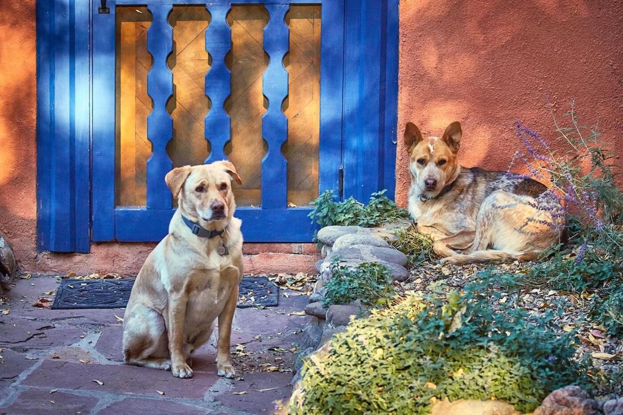Adobe And Pines Inn Bed And Breakfast Ranchos de Taos 외부 사진